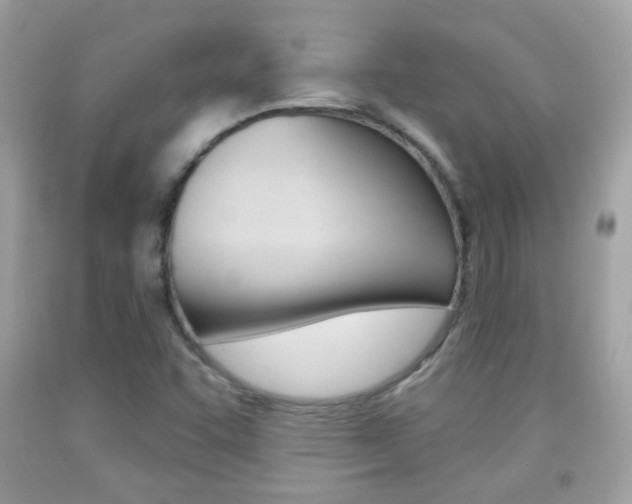 X0000092081455200709121056