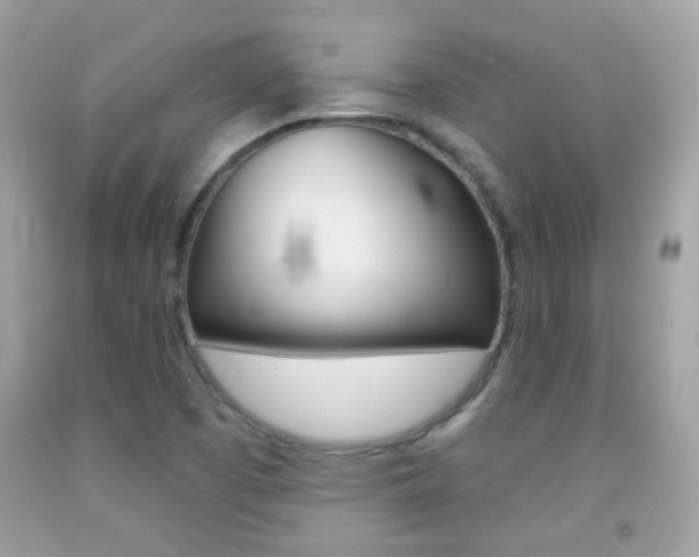 X0000092081457200709121056