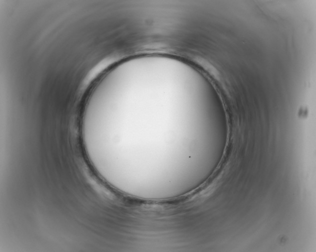 X0000092081458200709121056