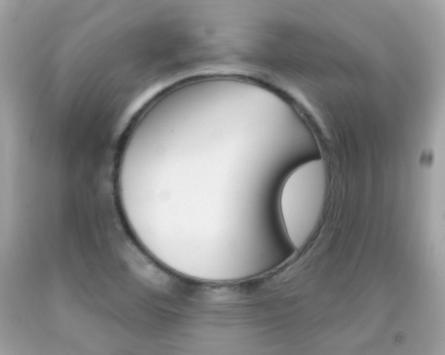 X0000092081460200709121056