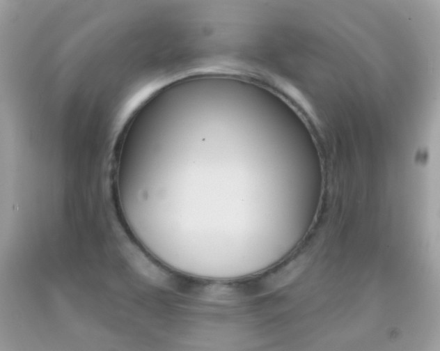 X0000092081463200709121056