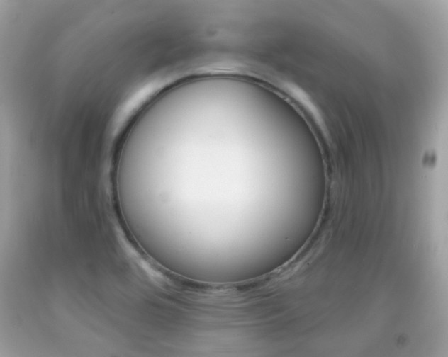 X0000092081464200709121056