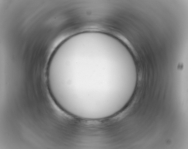 X0000092081466200709121056