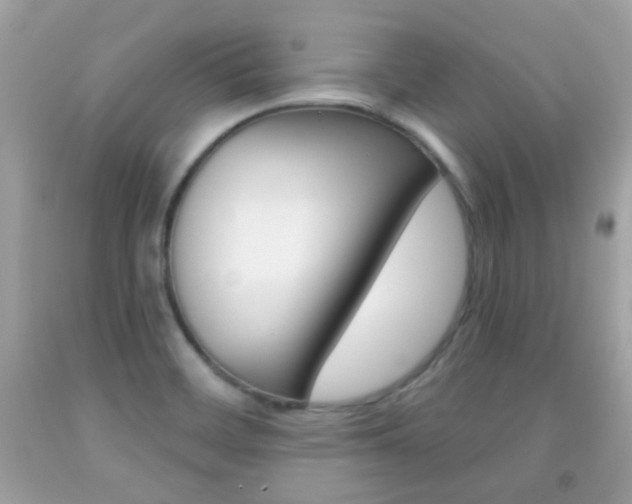 X0000092081468200709121056
