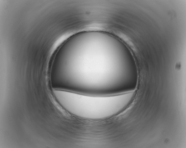 X0000092081469200709121056