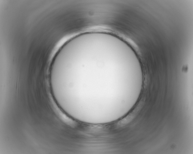 X0000092081470200709121056