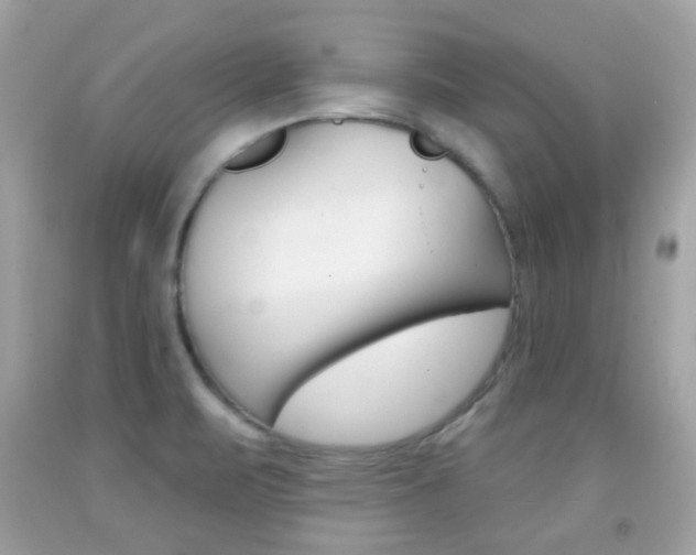 X0000092081471200709121056