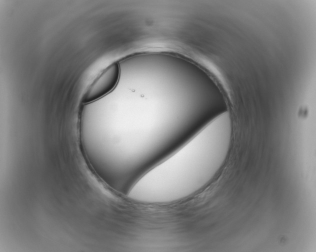 X0000092081472200709121056