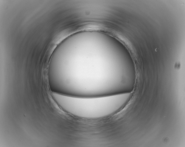 X0000092081473200709121056