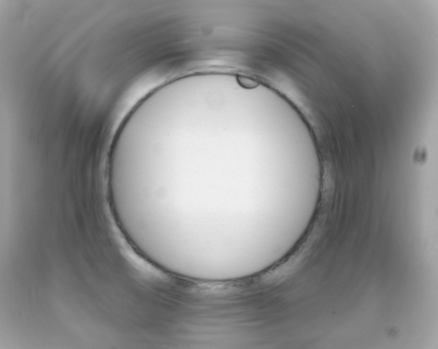 X0000092081474200709121056