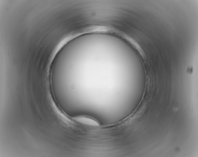 X0000092081475200709121056