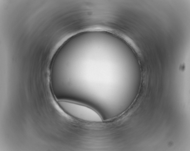X0000092081476200709121056