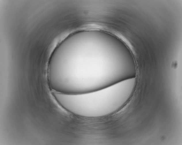X0000092081477200709121056