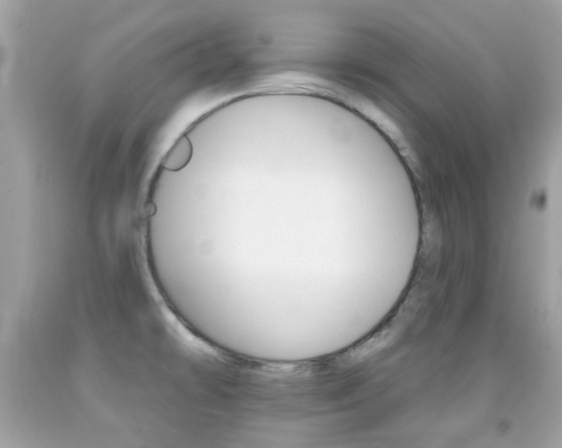 X0000092081478200709121056