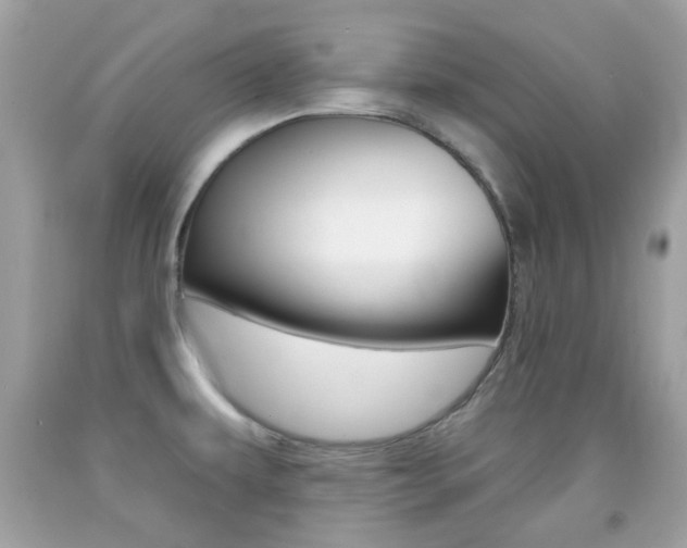 X0000092081479200709121056