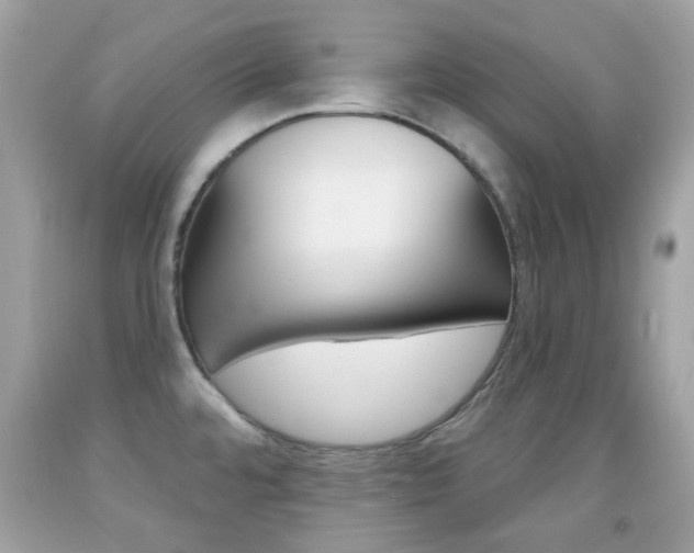 X0000092081480200709121056