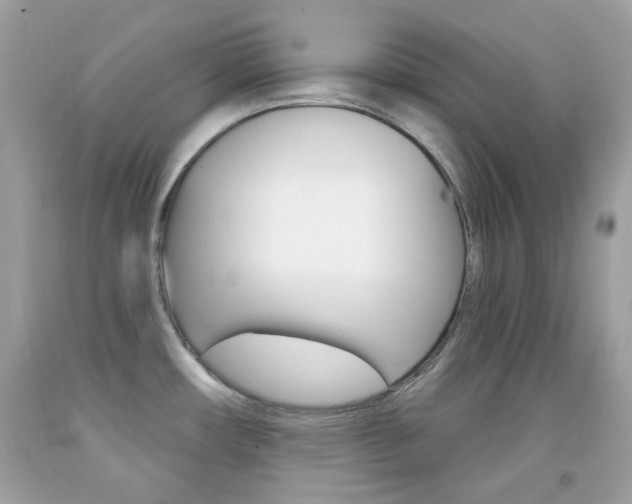 X0000092081482200709121056