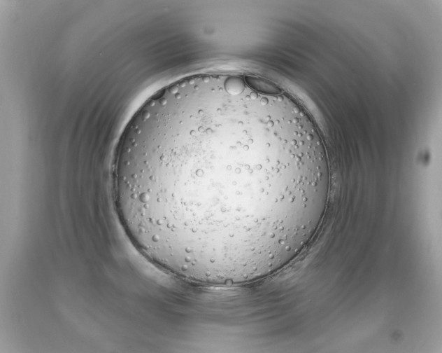 X0000092081483200709121056