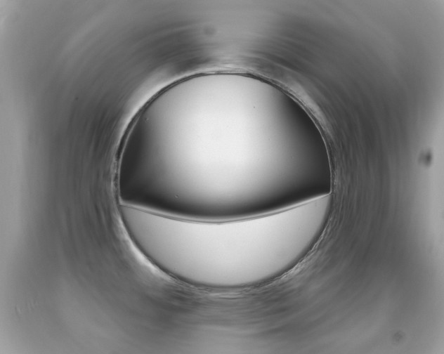 X0000092081484200709121056