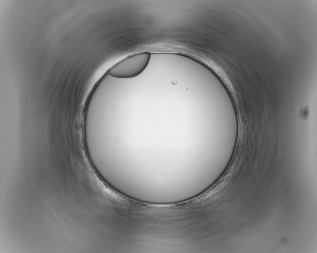 X0000092081486200709121055