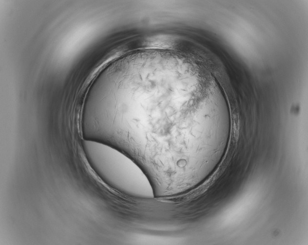 X0000092081487200709121055