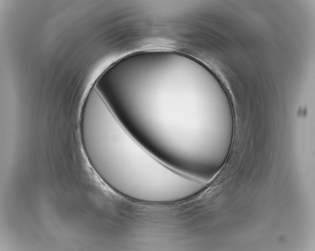 X0000092081488200709121055