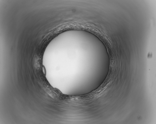 X0000092081490200709121055