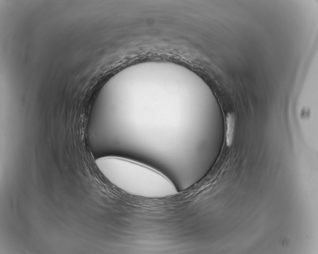 X0000092081491200709121055