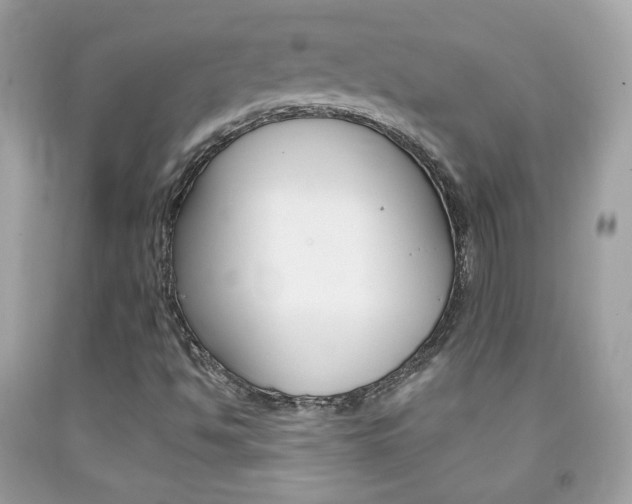 X0000092081494200709121055