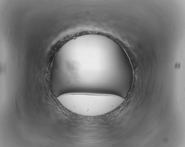 X0000092081495200709121055