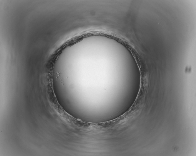 X0000092081496200709121055