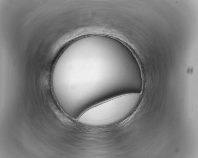 X0000092081499200709121055