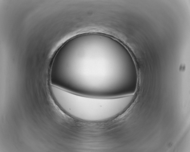 X0000092081500200709121055
