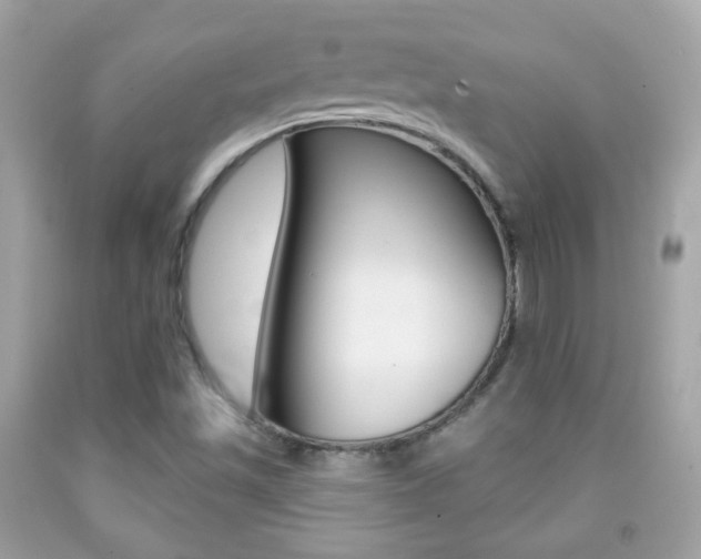 X0000092081501200709121055