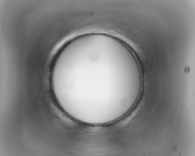X0000092081502200709121055