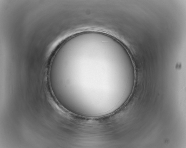 X0000092081503200709121055
