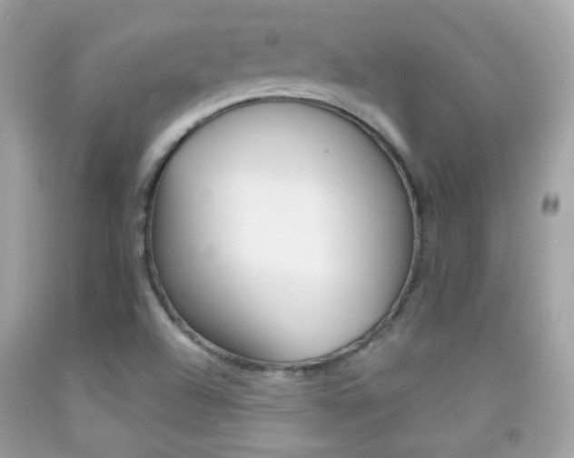 X0000092081504200709121055