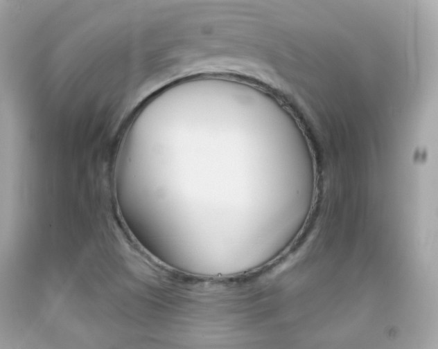 X0000092081505200709121055
