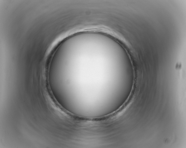 X0000092081506200709121055