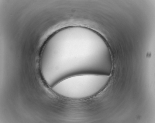 X0000092081507200709121055