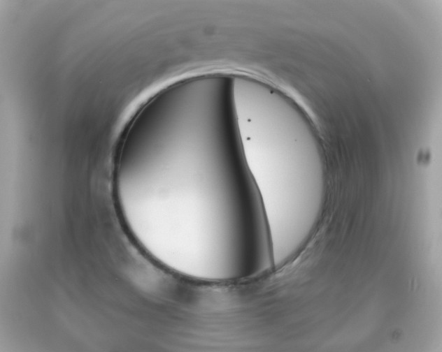 X0000092081508200709121055