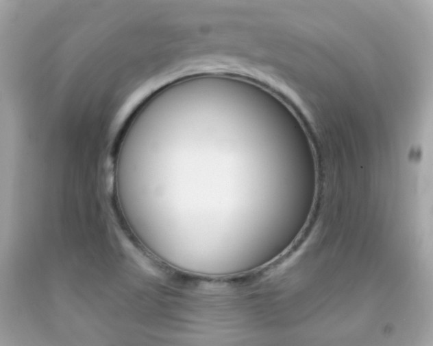 X0000092081509200709121055