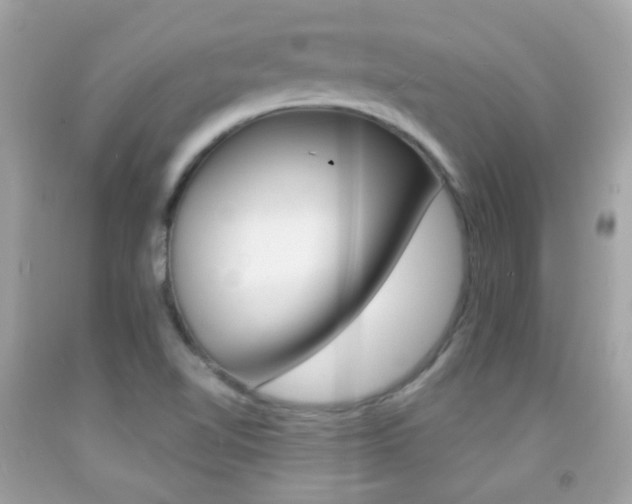 X0000092081510200709121055