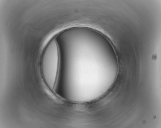 X0000092081511200709121055