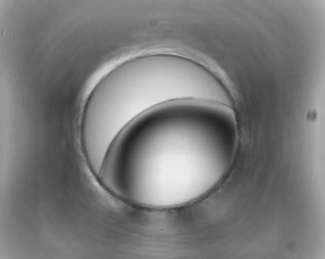 X0000092081512200709121055