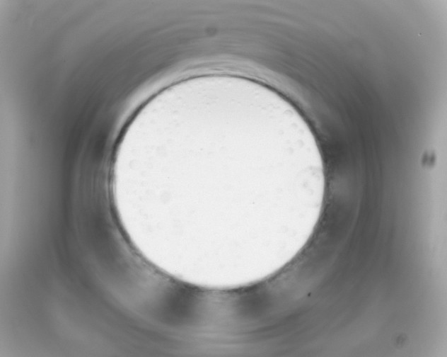 X0000092081514200709121055