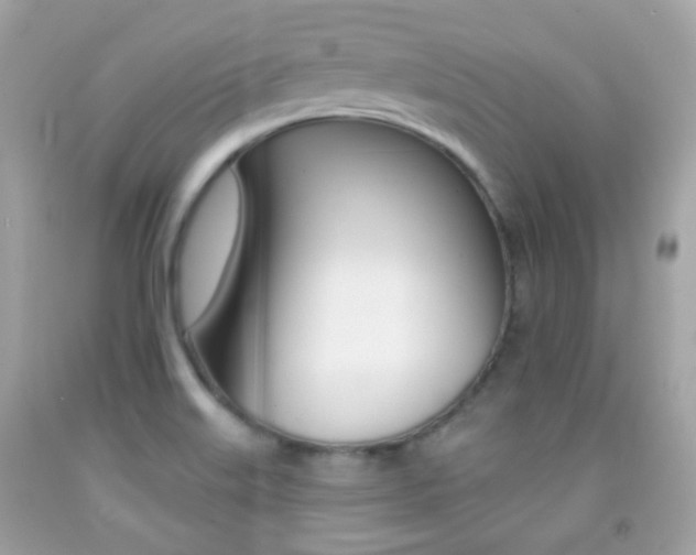 X0000092081515200709121055