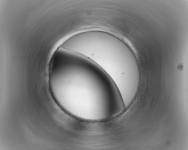 X0000092081516200709121055