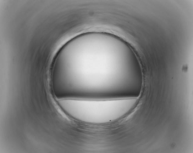 X0000092081517200709121055
