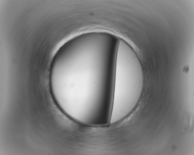 X0000092081518200709121055